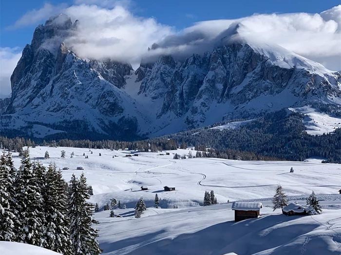 Cross-country skiing on Alpe di Siusi